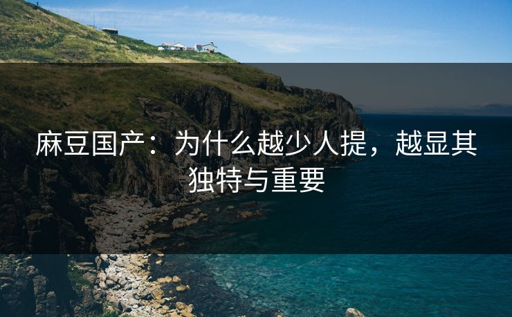 麻豆国产:为什么越少人提,越显其独特与重要 第1张 麻豆国产:为什么越少人提,越显其独特与重要 第1张
