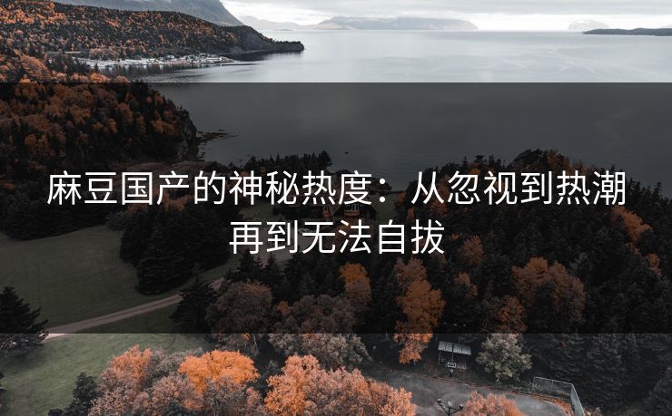 麻豆国产的神秘热度：从忽视到热潮再到无法自拔  第1张