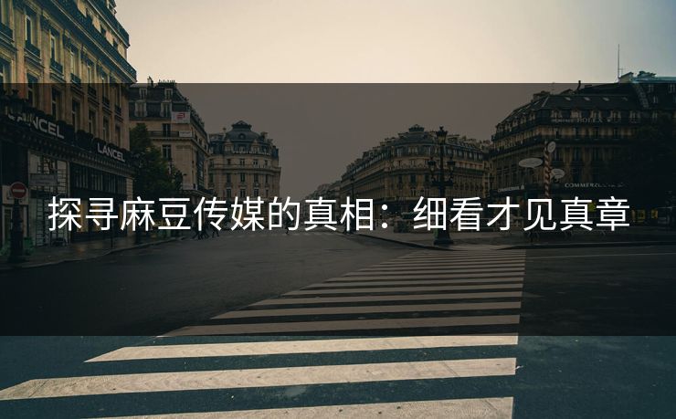 探寻麻豆传媒的真相：细看才见真章  第1张