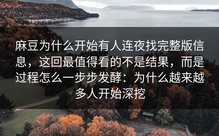 麻豆为什么开始有人连夜找完整版信息，这回最值得看的不是结果，而是过程怎么一步步发酵：为什么越来越多人开始深挖  第1张
