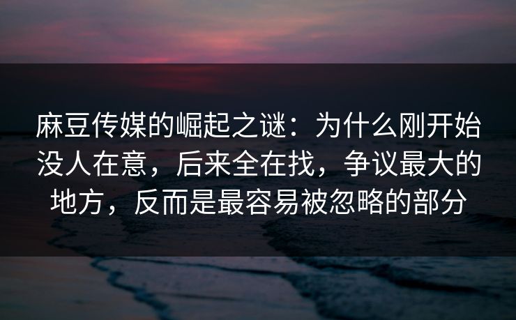 麻豆传媒的崛起之谜：为什么刚开始没人在意，后来全在找，争议最大的地方，反而是最容易被忽略的部分  第1张