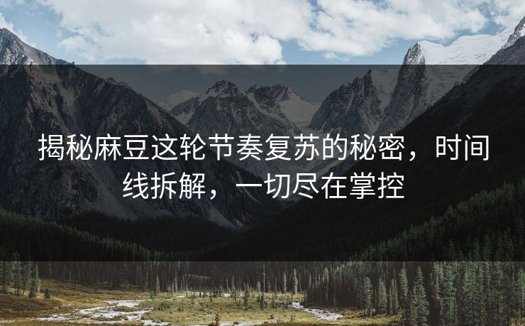 揭秘麻豆这轮节奏复苏的秘密，时间线拆解，一切尽在掌控  第1张
