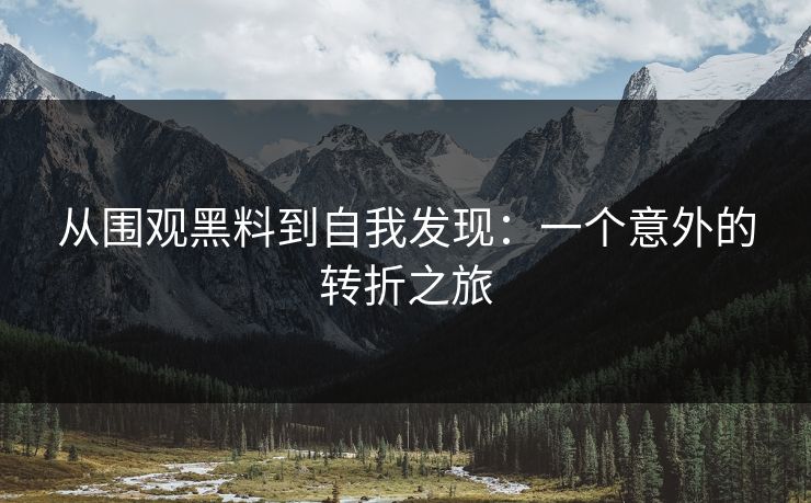 从围观黑料到自我发现：一个意外的转折之旅  第1张