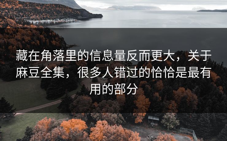 藏在角落里的信息量反而更大,关于麻豆全集,很多人错过的恰恰是最有用的部分 第1张 藏在角落里的信息量反而更大,关于麻豆全集,很多人错过的恰恰是最有用的部分 第1张