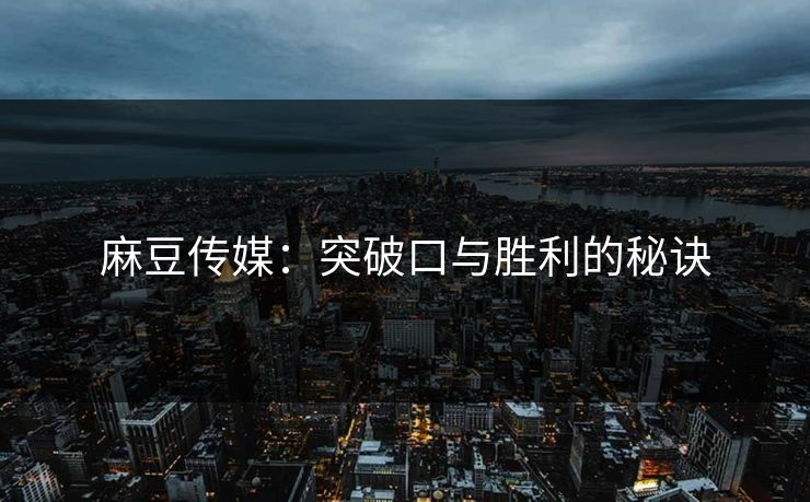 麻豆传媒：突破口与胜利的秘诀  第1张