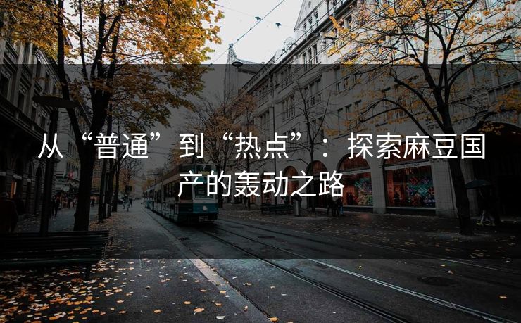 从“普通”到“热点”：探索麻豆国产的轰动之路  第1张