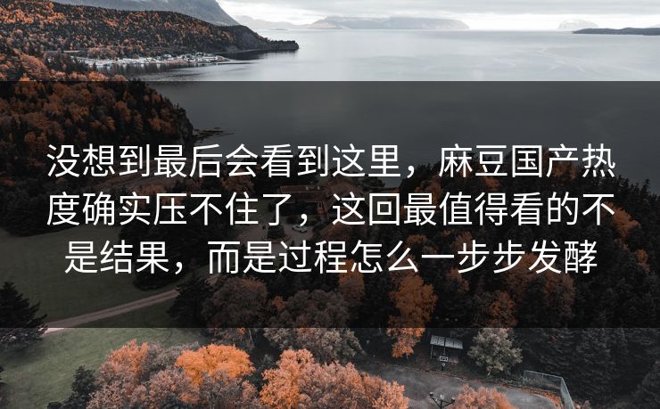 没想到最后会看到这里，麻豆国产热度确实压不住了，这回最值得看的不是结果，而是过程怎么一步步发酵  第1张