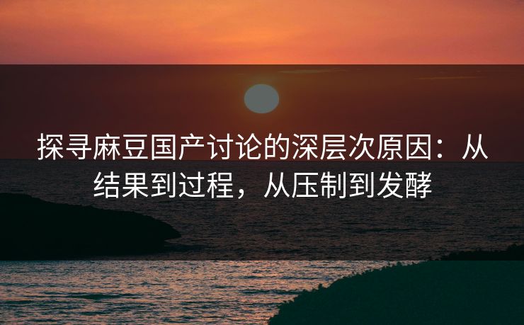 探寻麻豆国产讨论的深层次原因：从结果到过程，从压制到发酵  第1张