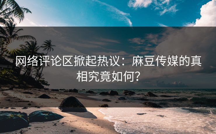 网络评论区掀起热议:麻豆传媒的真相究竟如何? 第1张 网络评论区掀起热议:麻豆传媒的真相究竟如何? 第1张